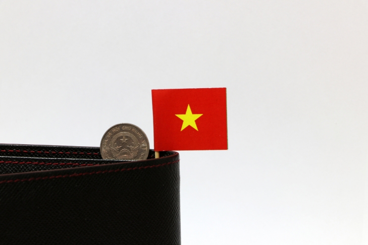 Vietnam: Growing beyond a state-planned economy